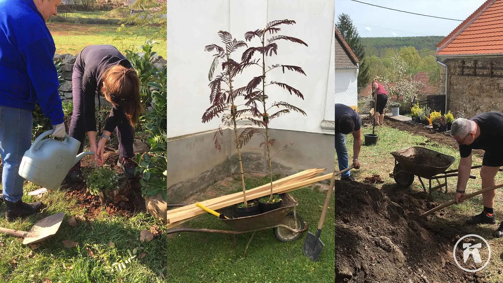 Közösségi kertészkedés a templomkertben